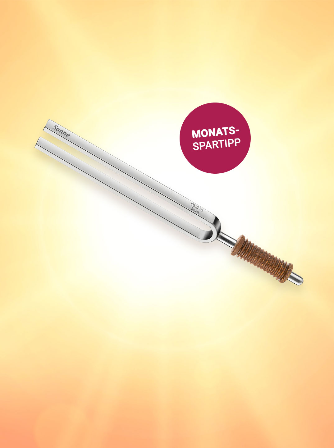 Stimmgabel mit Gravur "Sonne", daneben steht "Monats-Spartipp"