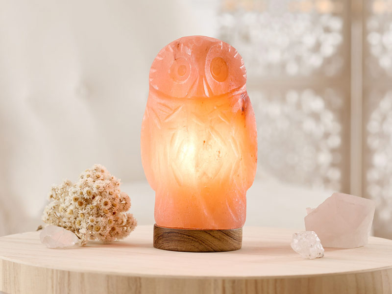 Eine Salzkristallleuchte in Form einer Eule steht auf einem Holzsocke. Das Licht aus dem Inneren des Salzkristalls leuchtet warm und sanft.