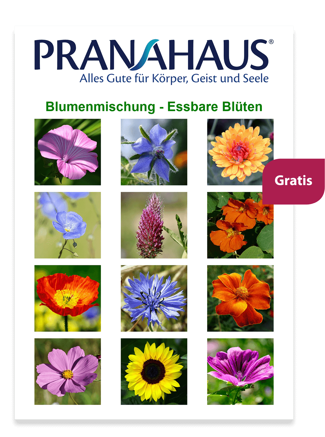 Samenmischung "Essbare Blüten" - gratis