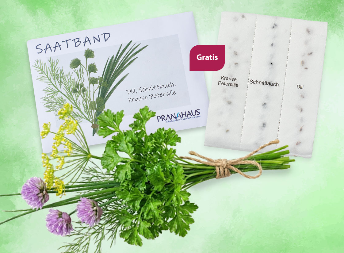 Saatband-Set von PranaHaus mit den Kräutern Dill, Schnittlauch und krauser Petersilie. Abgebildet sind beschriftete Saatstreifen, eine Karte mit Illustration sowie frische Kräuterbündel, dazu der Hinweis „Gratis“.