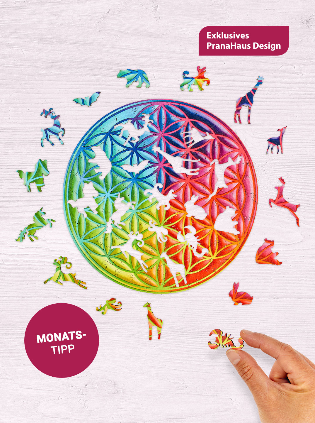 Monats-Tipp: Chakra-Puzzle "Blume des Lebens"