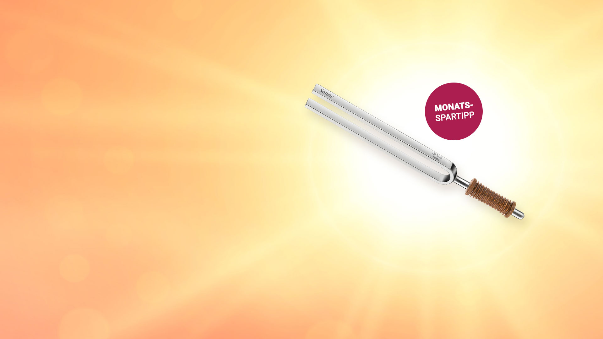 Stimmgabel mit Gravur "Sonne", daneben steht "Monats-Spartipp"