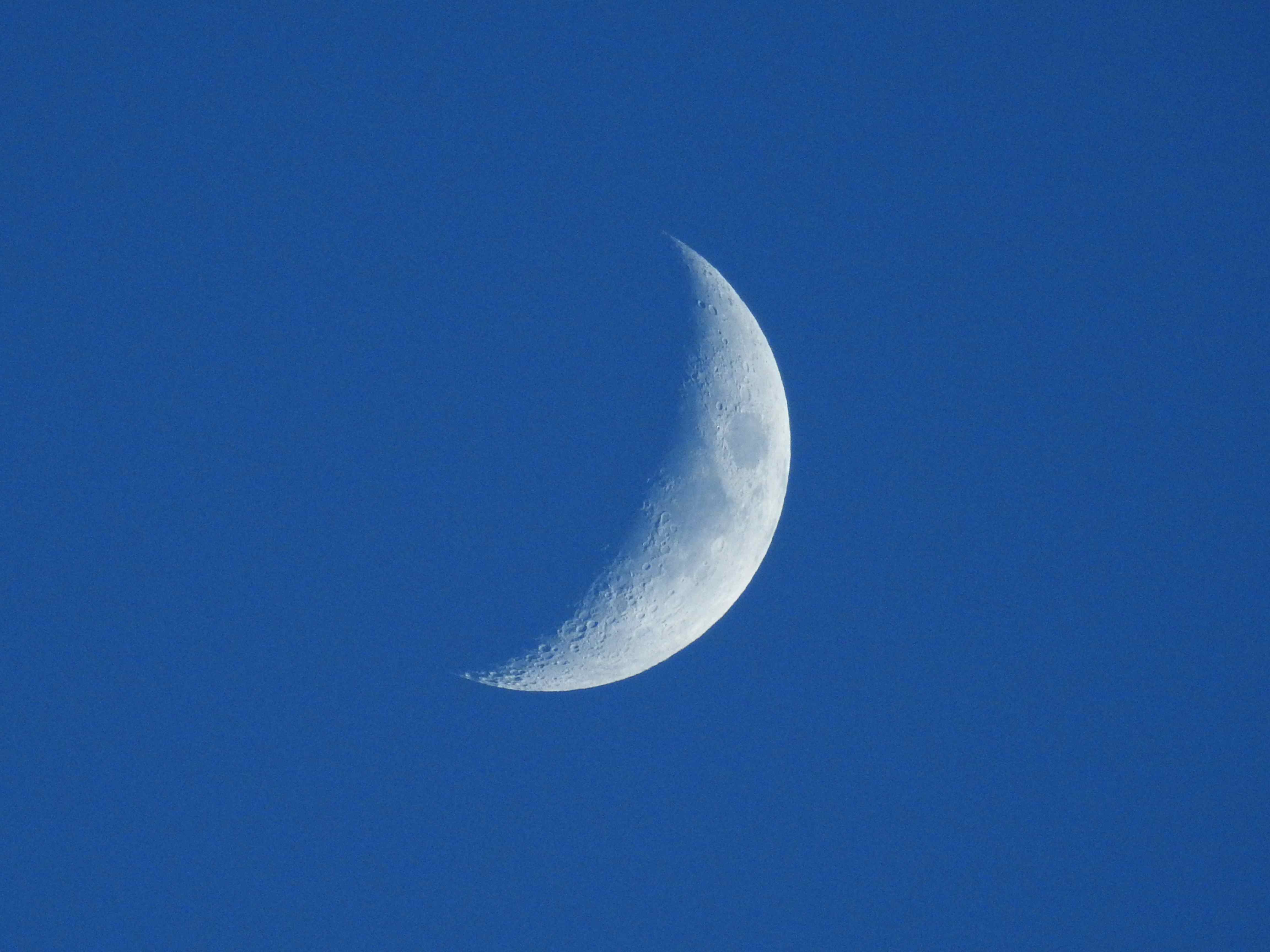 Eine zunehmende Mondsichel leuchtet klar am tiefblauen Himmel.