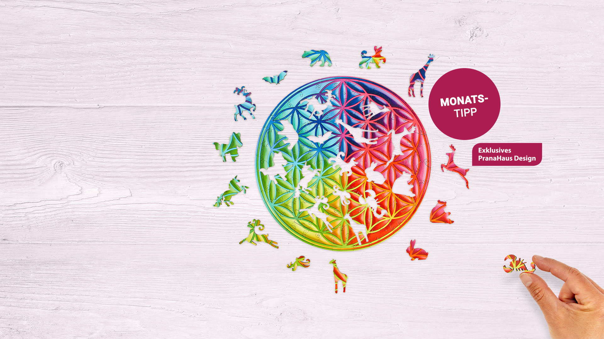 Monats-Tipp: Chakra-Puzzle "Blume des Lebens"
