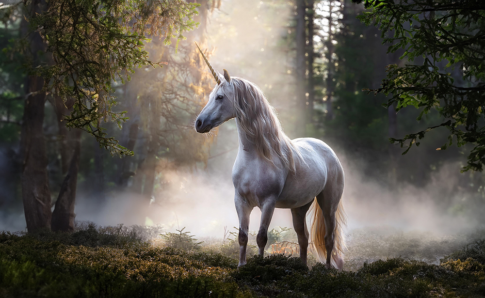 Ein weißes Einhorn mit langem, glänzendem Schweif und Horn steht im mystisch beleuchteten Wald, umgeben von Nebel und Sonnenstrahlen.