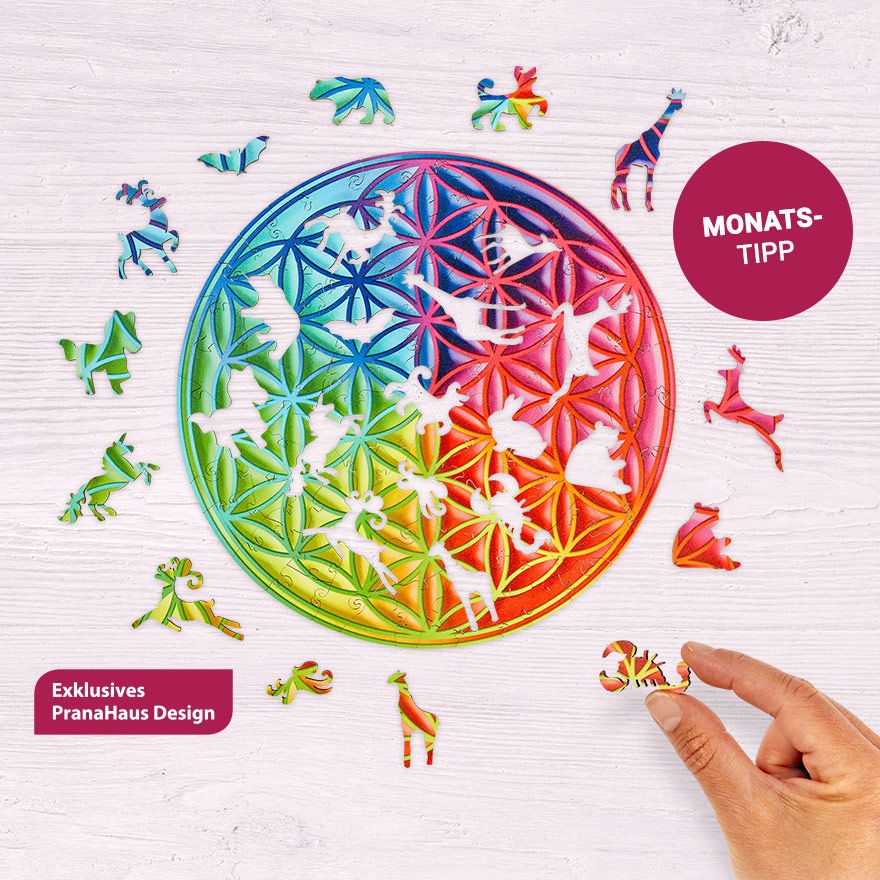 PranaHaus Ihr für Spiritualität und Esoterik